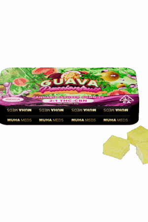 GUAVA PASSION FRUIT | INDICA